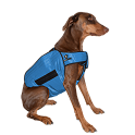 Product image for TechNiche® Phase Change Cooling Dog Coats